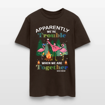 Funny Flamingo Camping Apparently We're Trouble When We Are Together T-Shirt